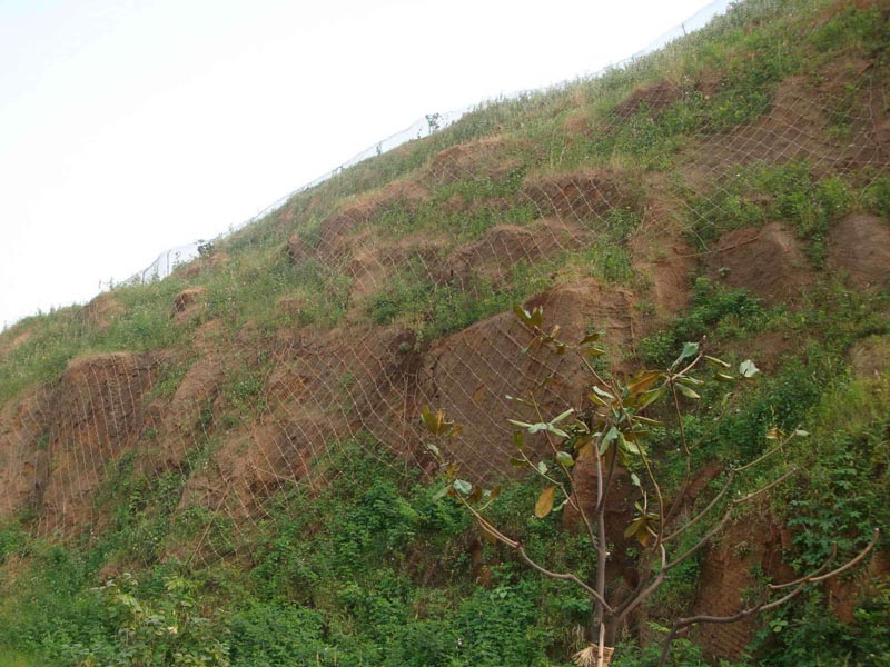 GNS2�Ͱ������ӷ��o(h��)�W(w��ng) (2).jpg