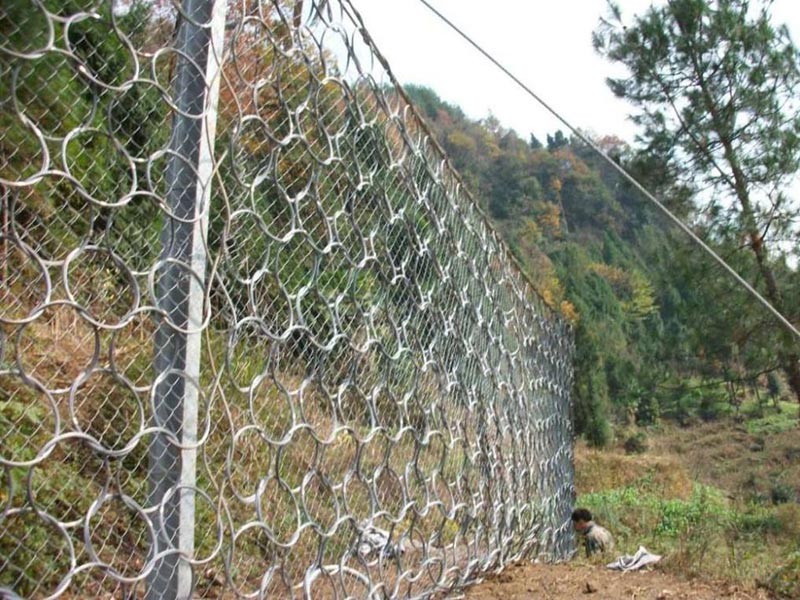 RXI-100�ͱ��ӷ��o�W (3).jpg