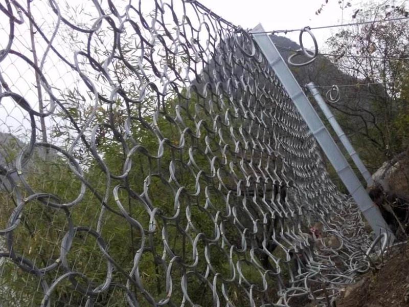 RXI-100�ͱ��ӷ��o�W (1).jpg