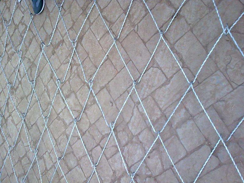 SPIDER䓽z���x�� (3).jpg