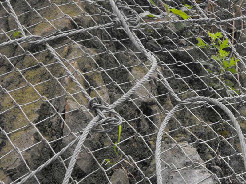 GAR1�����ӷ��o�W(w��ng)���a(ch��n)�S��