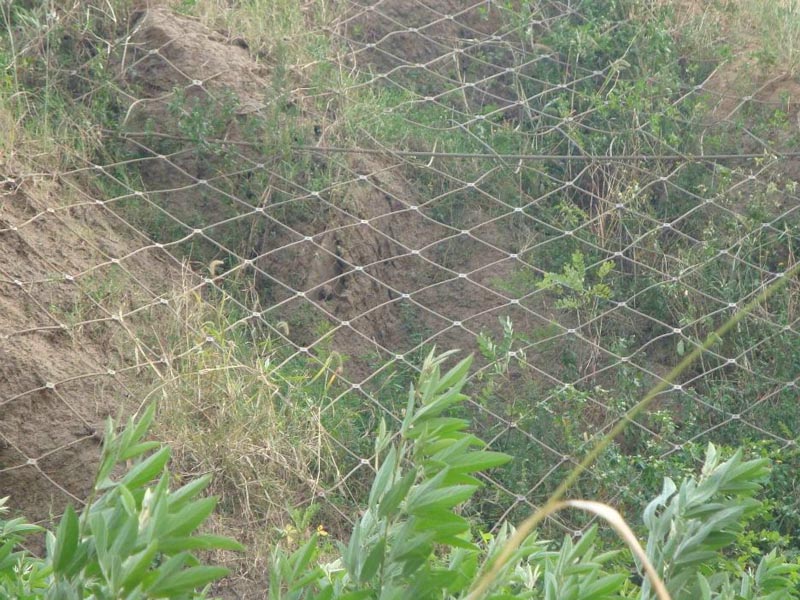 GAR1������(d��ng)���o(h��)�W(w��ng)