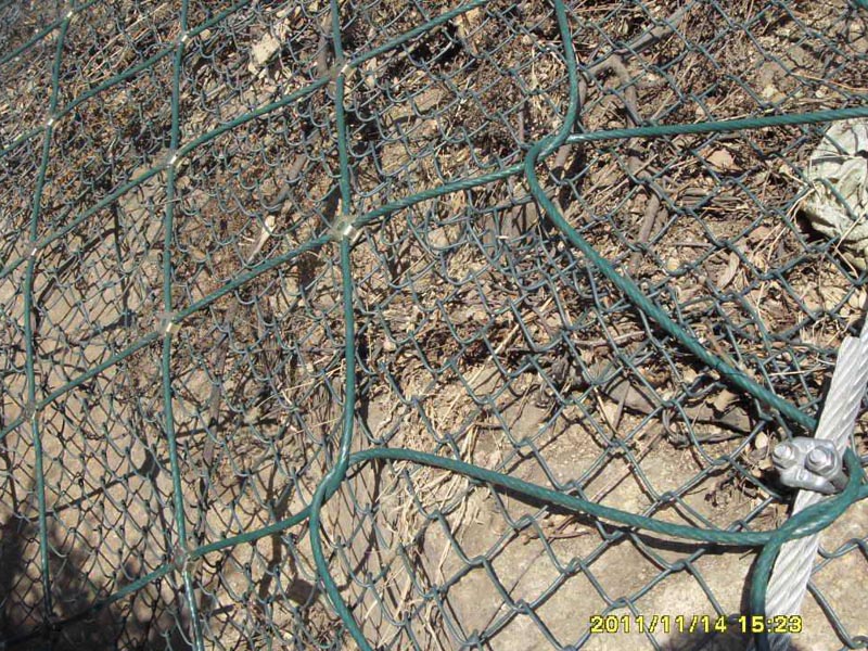 GAR1�����ӷ��o�W(w��ng) (6).jpg